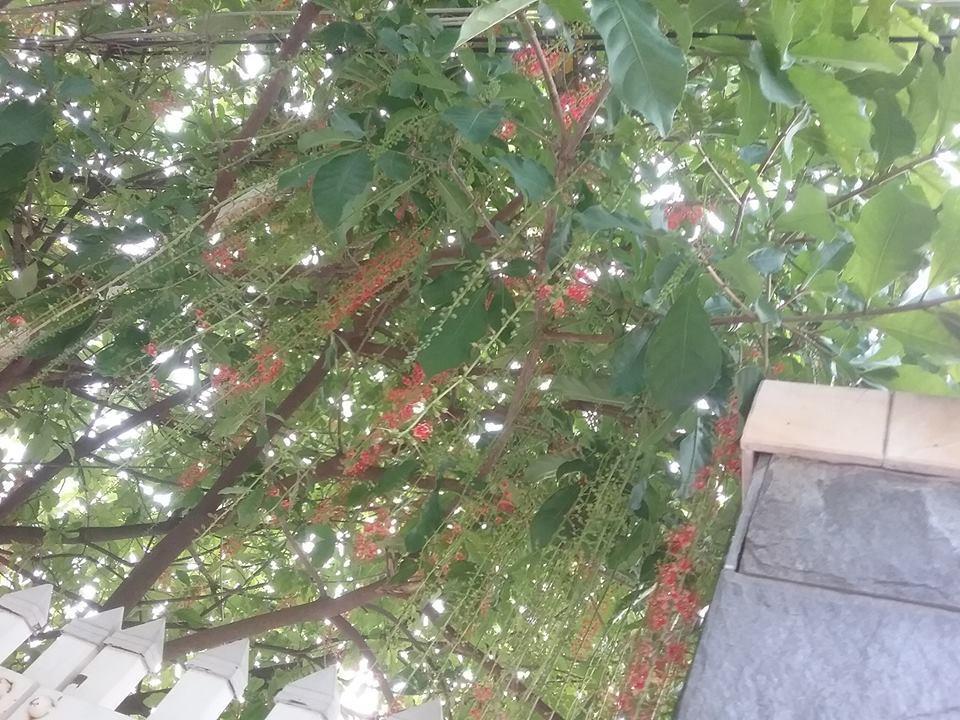 Nha Minh Homestay Da Nang Zewnętrze zdjęcie