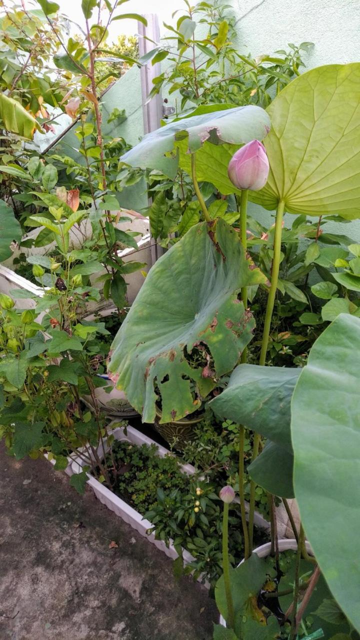 Nha Minh Homestay Da Nang Zewnętrze zdjęcie