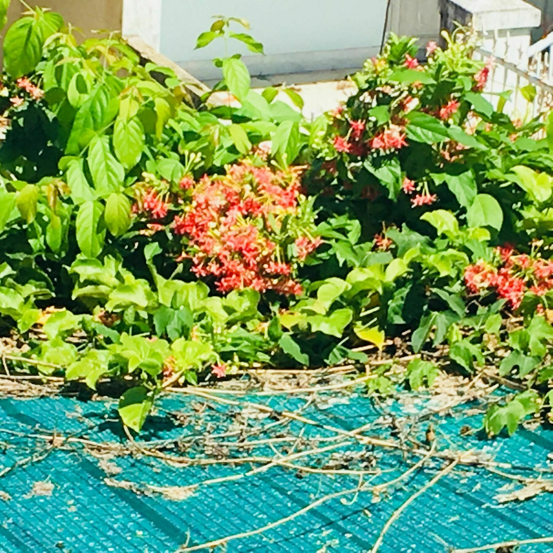 Nha Minh Homestay Da Nang Zewnętrze zdjęcie
